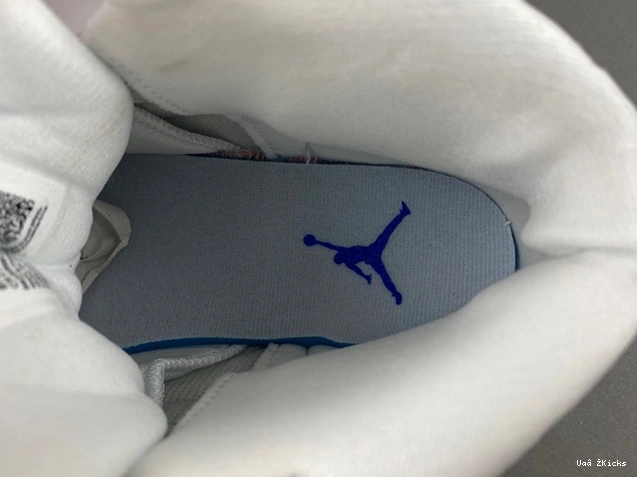 Jordan Trendsetting 12 CT8013- Air 3860 732 0618